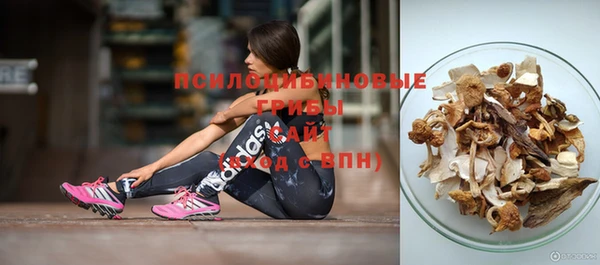хмурый Волоколамск