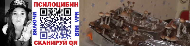 Галлюциногенные грибы мухоморы  сколько стоит  Железногорск 